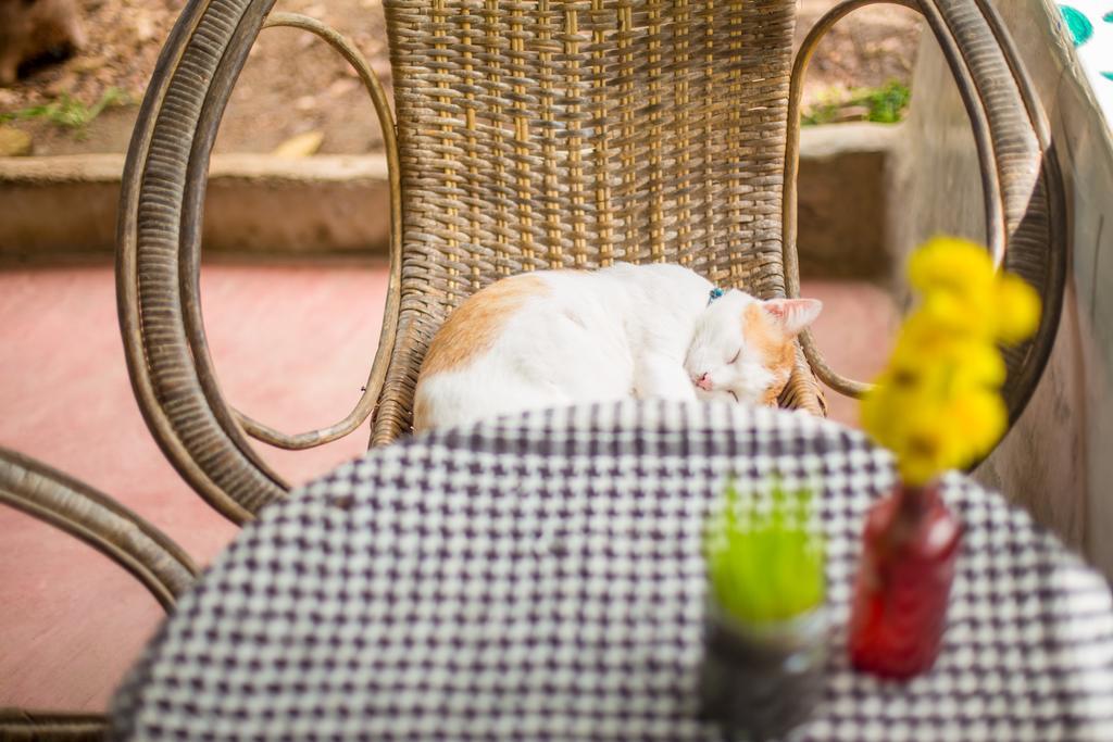 Hotel Baan Kati Sod Pai Esterno foto